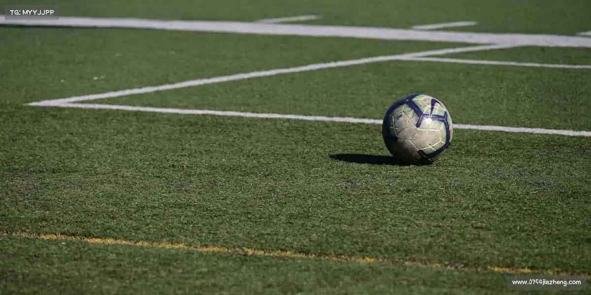 金年会官方在线登录——一拍即合,运动无限!🎯